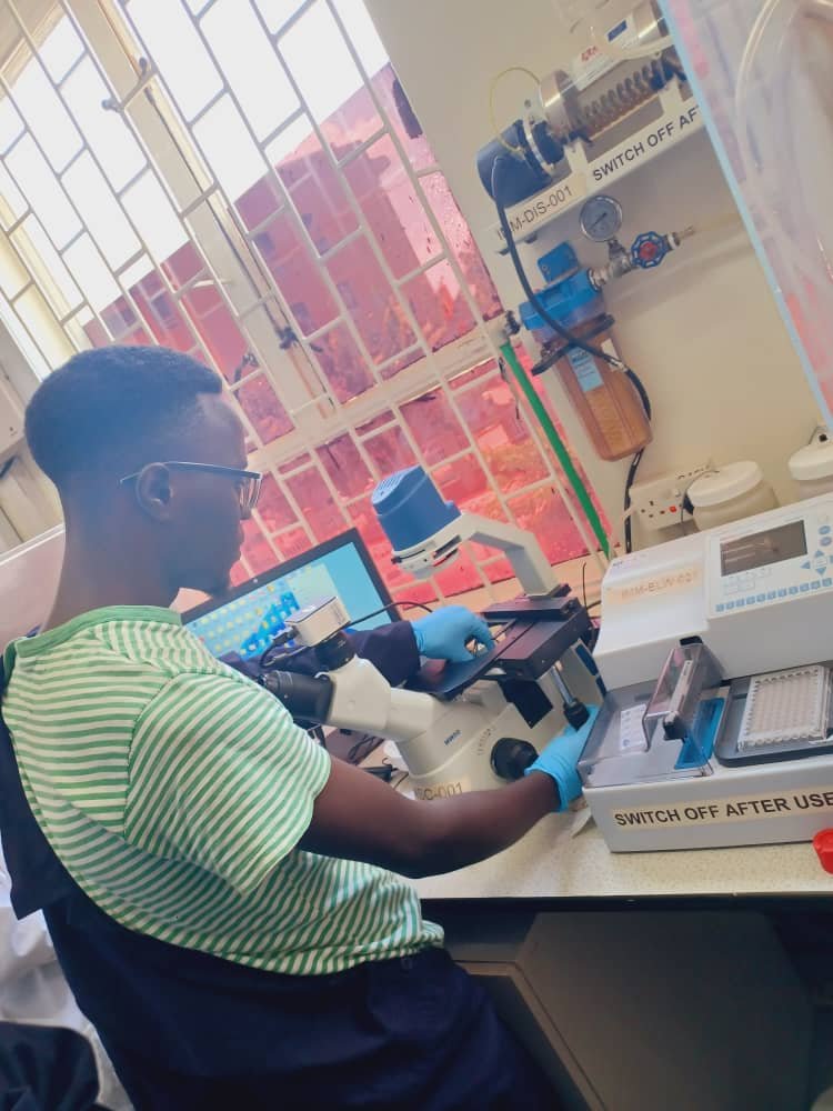 WhatsApp Image 2025-08-15 at 12.24.16